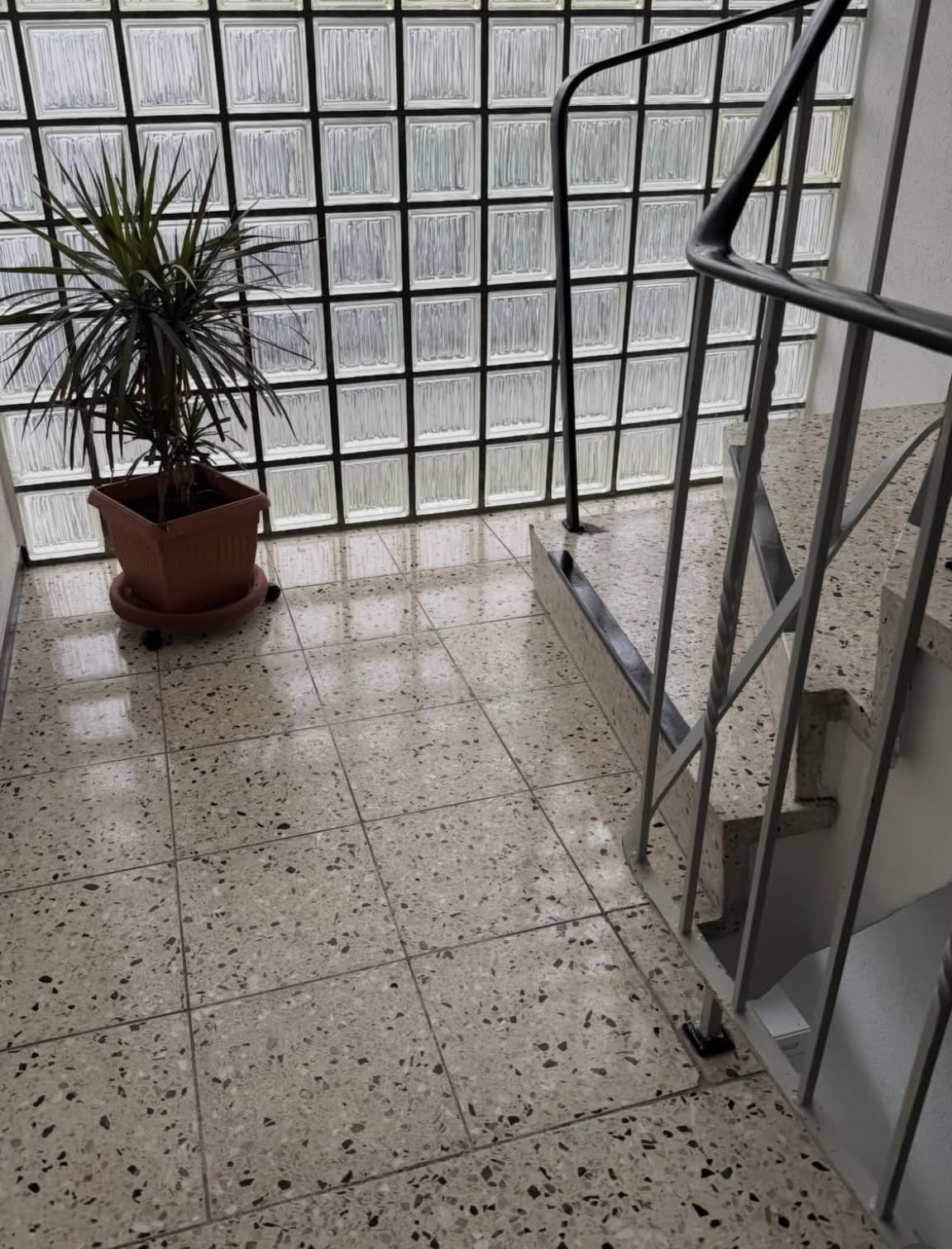 Terrazzo-Treppenhaus mit einer Topfpflanze vor einer Wand aus Glasbausteinen und einem Metallgeländer.
