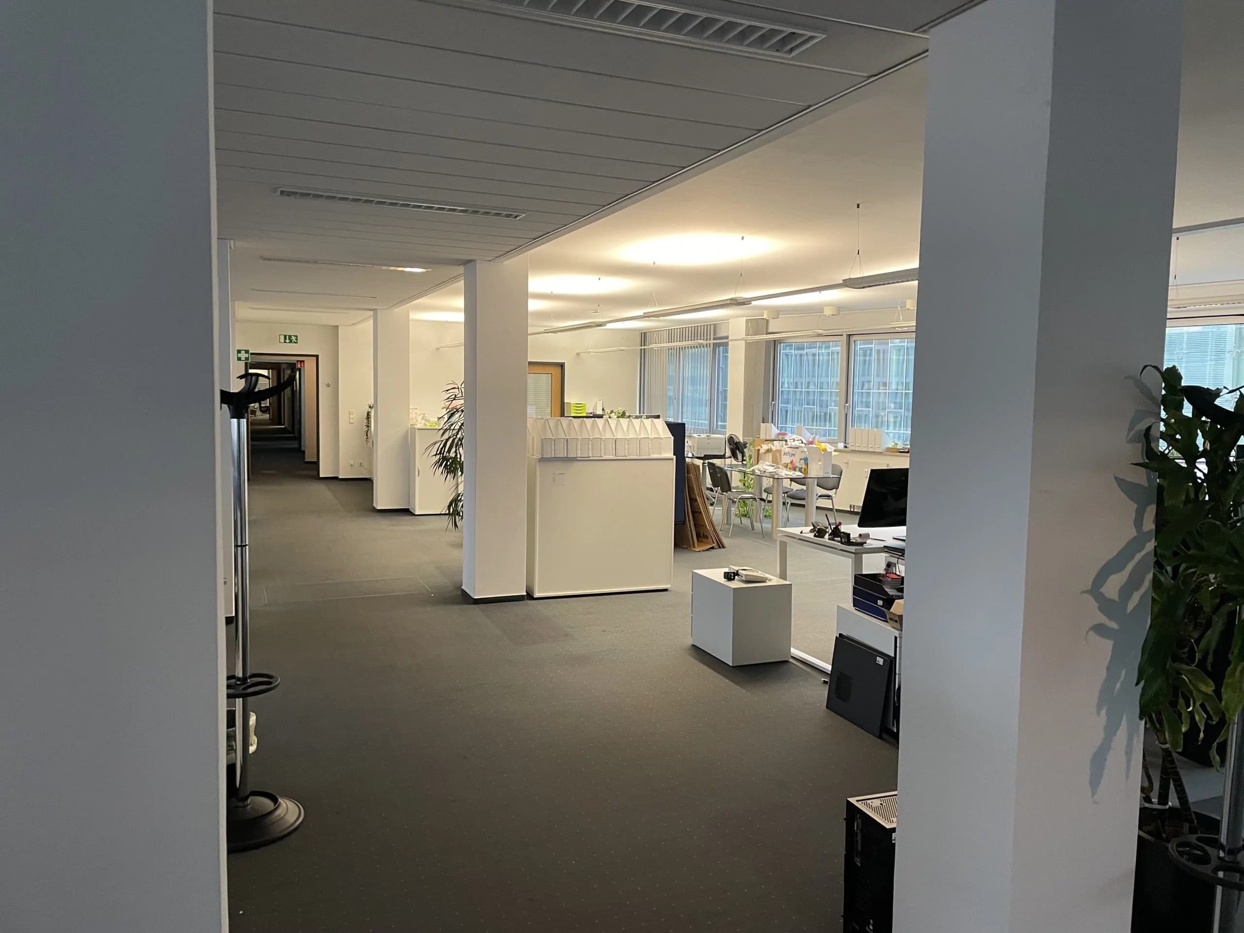 Modernes, helles Großraumbüro mit weißen Arbeitsstationen, grauem Teppichboden, großen Fenstern und grünen Zimmerpflanzen.